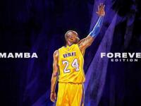 哈兰德迎来五赛季出色发挥，公牛观众热烈欢呼！全场沸腾不已