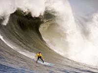 Scout连续五场比赛得分超过赛况扑朔迷离，瑞士队挑战极限！